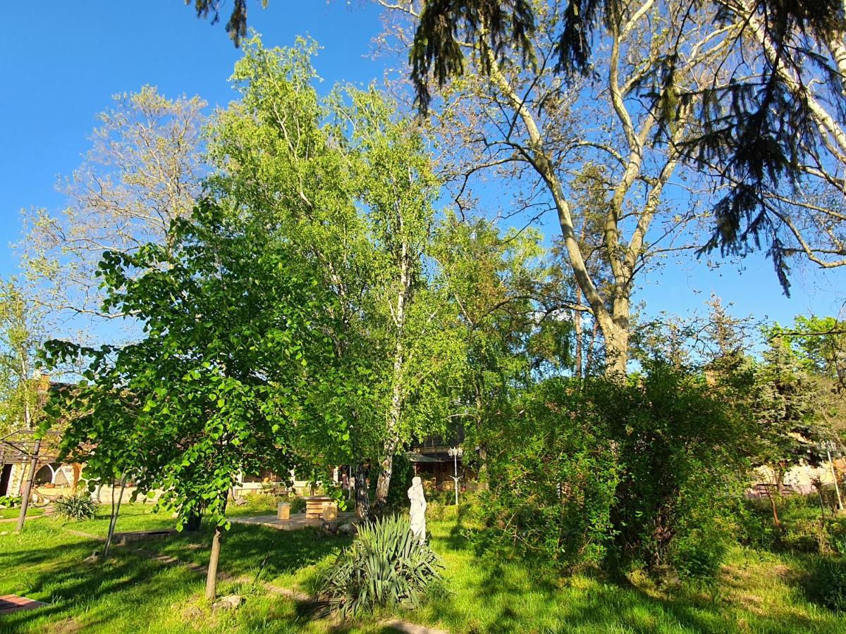 Platan Szallashely Hotel Sandorfalva Luaran gambar